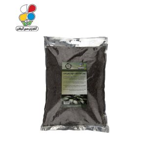 بستر آماده کشت دیفن باخیا بسته 2 کیلوگرمی