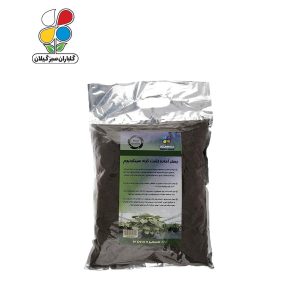 بستر آماده کشت سینگونیوم بسته 4 کیلوگرمی