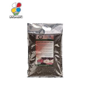 بستر آماده کشت داوودی بسته 2 کیلوگرمی