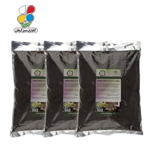 بستر آماده کشت فیتونیا 4 کیلوگرمی بسته سه عددی