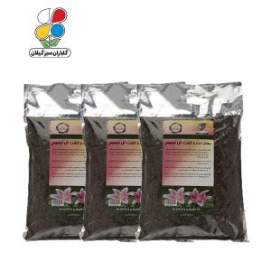 بستر آماده کشت لیلیوم 2 کیلوگرمی بسته سه عددی