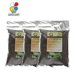 بستر آماده کشت بنجامین 4 کیلوگرمی بسته سه عددی