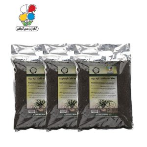 بستر آماده کشت لیندا 2 کیلوگرمی بسته سه عددی