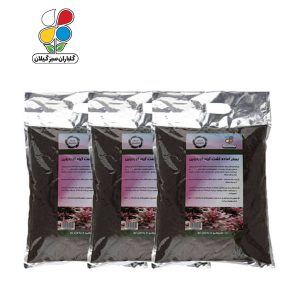 بستر آماده کشت کوردیلین 4 کیلوگرمی بسته سه عددی