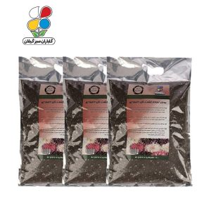 بستر آماده کشت داوودی 2 کیلوگرمی بسته سه عددی