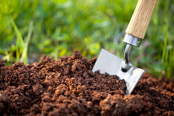 اصلاح خاک در سایت گلباران سرسبز 