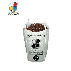 بستر آماده کشت آگلونما فله 1000 کیلویی