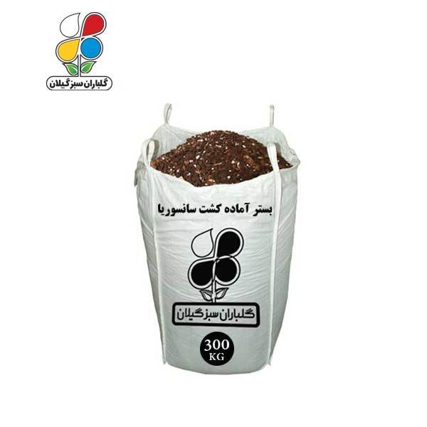 بستر آماده کشت سانسوریا فله 300 کیلویی