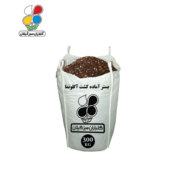 بستر آماده کشت آگلونما فله 300 کیلویی