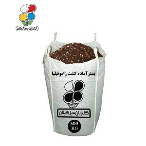 بستر آماده کشت زاموفیلیا فله 500 کیلویی