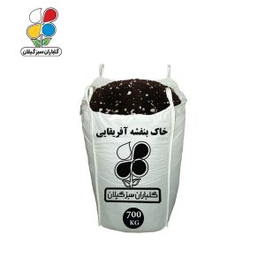 خاک بنفشه آفریقایی فله 700 کیلویی