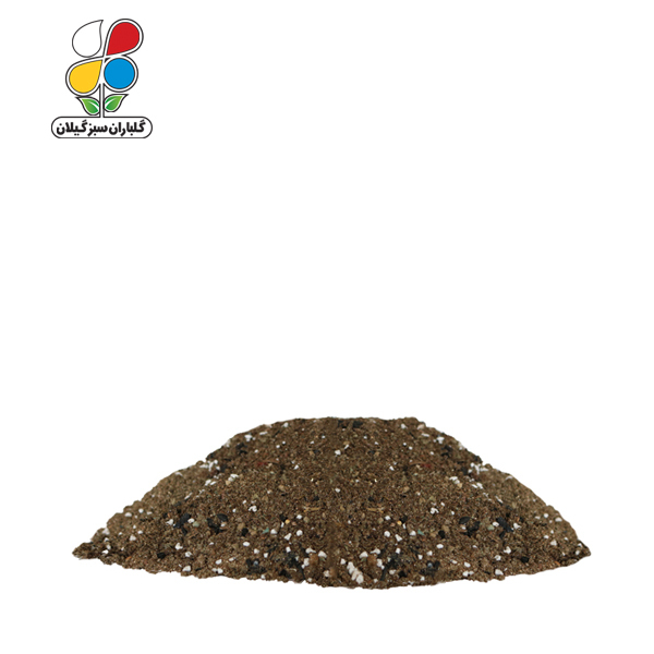 خاک بنسای 100 کیلویی - Image 2