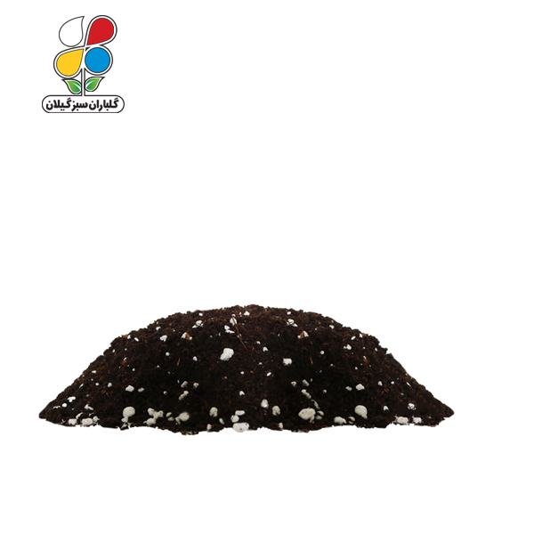 خاک بنفشه آفریقایی 100 کیلویی - Image 2