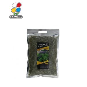 گیاه دارویی مریم گلی