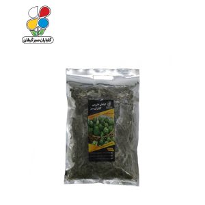 گیاه دارویی کنگر فرنگی