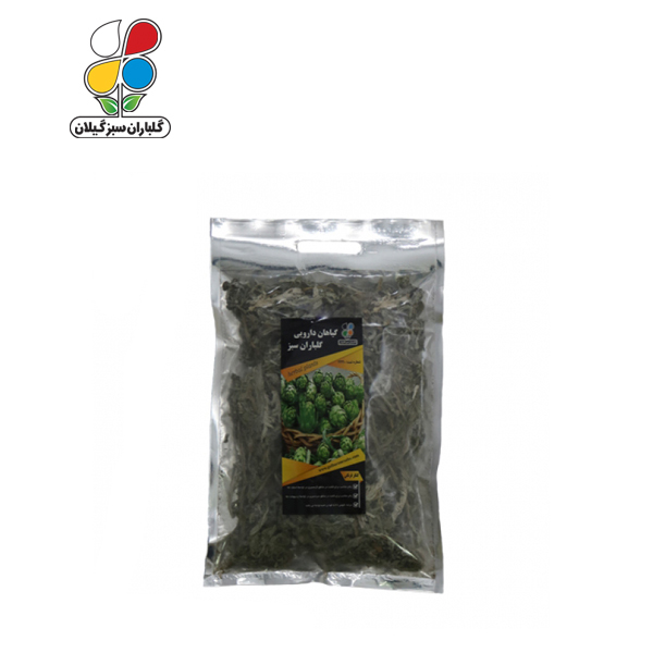 گیاه دارویی کنگر فرنگی