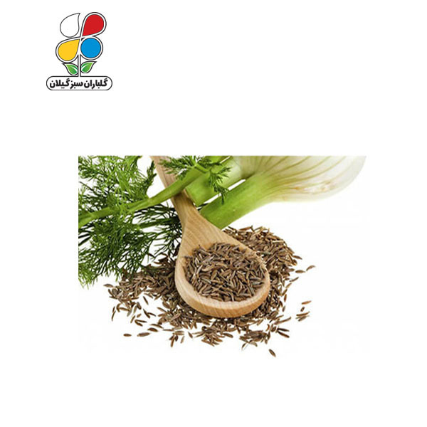 بذر رازیانه بسته 3 عددی