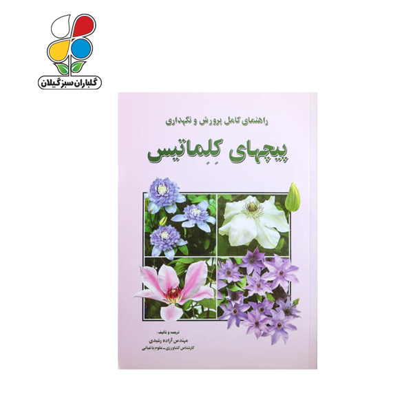 راهنمای کامل پرورش و نگهداری پیچهای کلماتیس