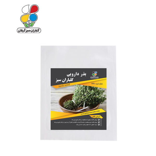 بذر آویشن ( بسته 24 عددی )