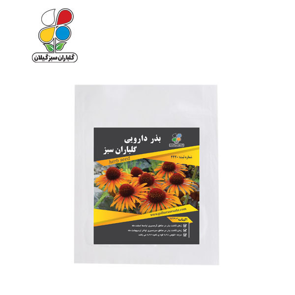 بذر اکیناسه (سر خار گل) ( بسته 24 عددی )