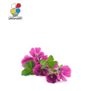 بذر گل ختمی الوان بسته 3 عددی