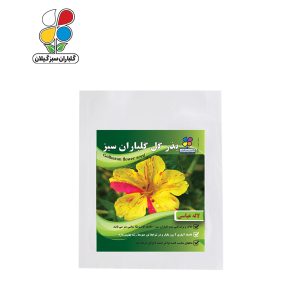 بذر گل لاله عباسی بسته بندی کوچک ( بسته 20 عددی )