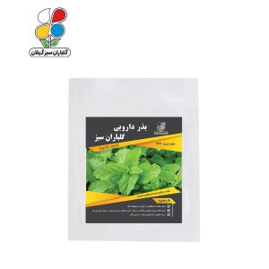 بذر بادرنجبویه بسته بندی بزرگ ( بسته 24 عددی )