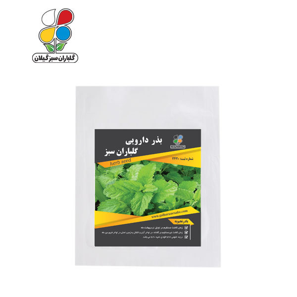 بذر بادرنجبویه بسته بندی بزرگ ( بسته 24 عددی )