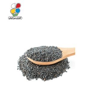 بذر تخم شربتی بسته بندی بزرگ مجموعه 3 عددی