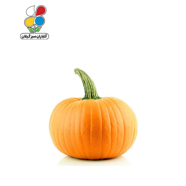 بذر کدو تخم کاغذی بسته بندی بزرگ ( بسته 24 عددی )