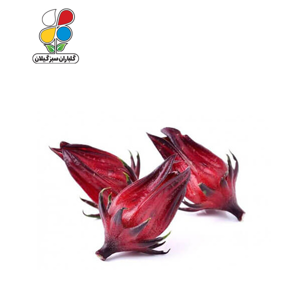 بذر چای ترش ( بسته 24 عددی )