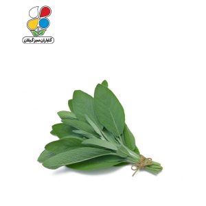 بذر مریم گلی بسته 3 عددی