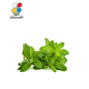 بذر استویا 3 عددی