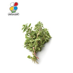 بذر مرزنجوش بسته 3 عددی