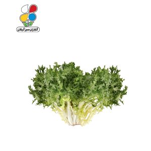 بذر کاسنی بسته 3 عددی