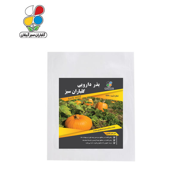 بذر کدو تخم کاغذی بسته بندی بزرگ ( بسته 24 عددی )