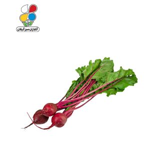 بذر چغندر لبویی بسته سه عددی