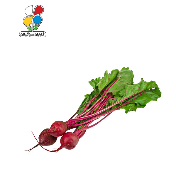 بذر چغندر لبویی بسته بندی بزرگ ( بسته 24 عددی )