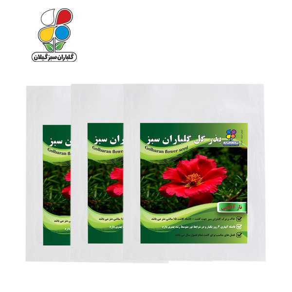 بذر گل ناز آفتابی بسته سه عددی - Image 2
