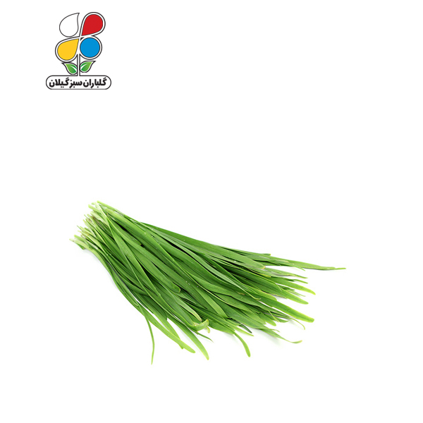 بذر تره بومی بسته 3 عددی