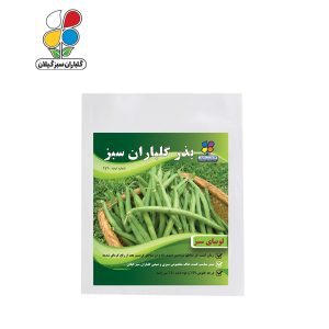 بذر لوبیا سبز بسته بندی کوچک ( بسته 20 عددی )