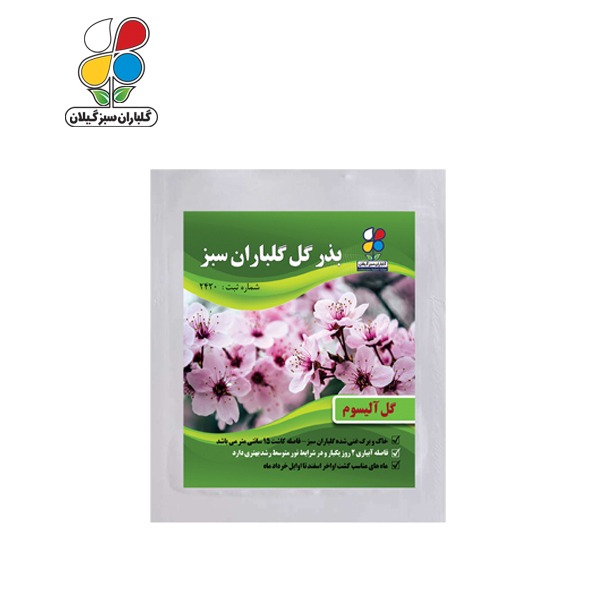 بذر گل آلیسوم بسته بندی کوچک ( بسته 20 عددی )