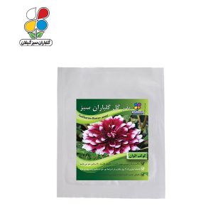 بذر گل کوکب الوان بسته بندی کوچک ( بسته 20 عددی )