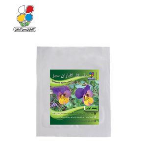بذر گل بنفشه الوان بسته بندی بزرگ ( بسته 24 عددی )