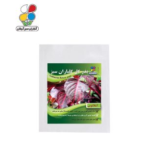 بذر گل آشلانتوس بسته بندی بزرگ ( بسته 24 عددی )