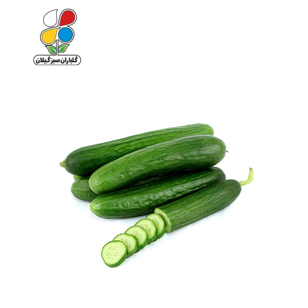 بذر خیار بسته سه عددی