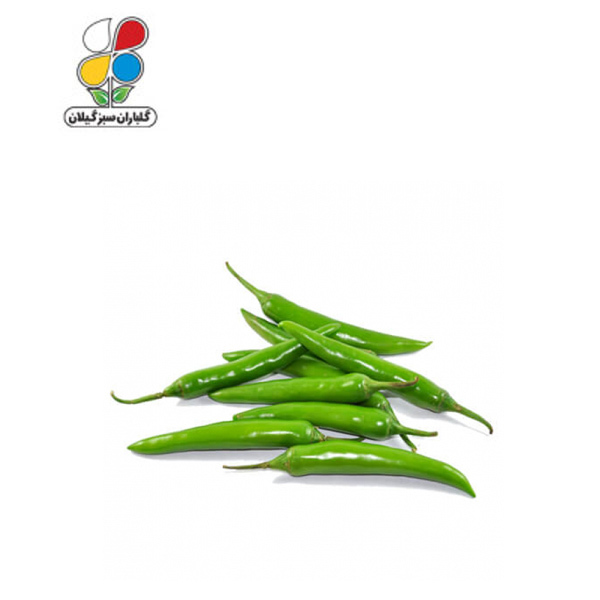 بذر فلفل سبز بسته بندی کوچک ( بسته 20 عددی )