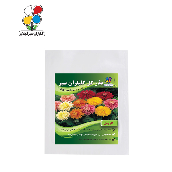 بذر گل داوودی بسته بندی کوچک ( بسته 20 عددی )