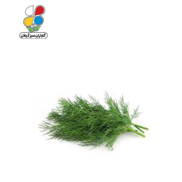 بذر شوید بسته سه عددی