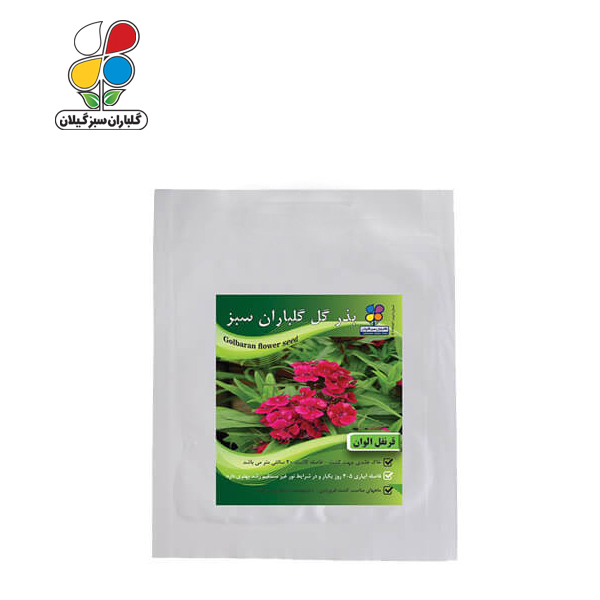 بذر گل قرنفل بسته بندی بزرگ ( بسته 24 عددی )